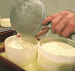 Milchprodukte